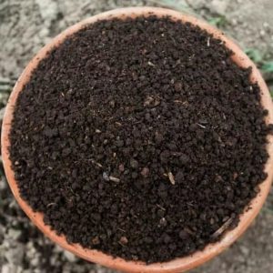 Vermicompost