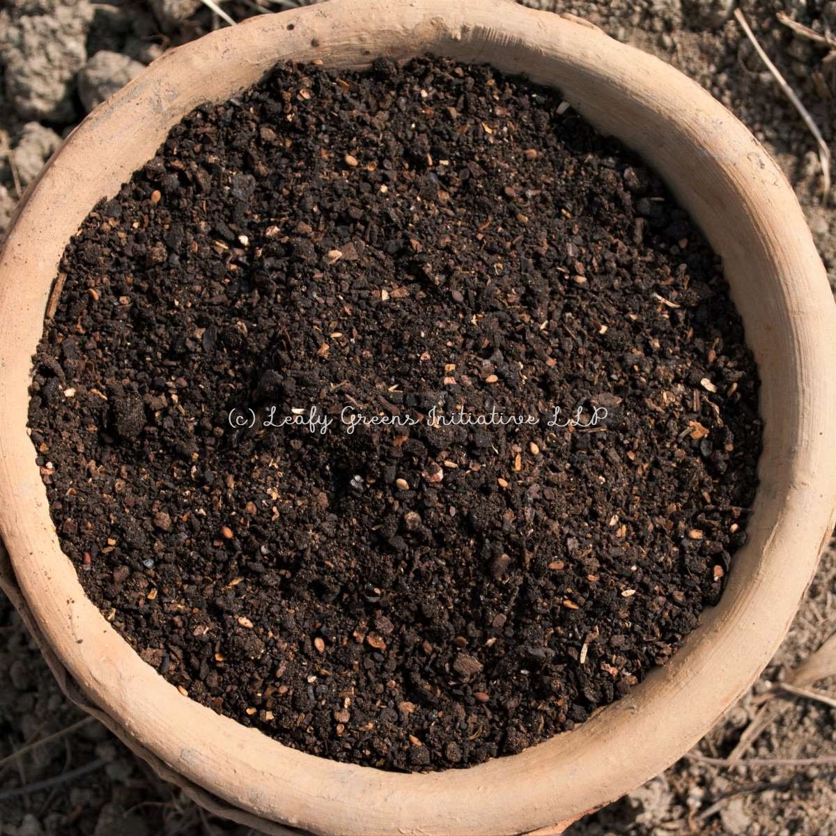 Neem Khol 1200x1200